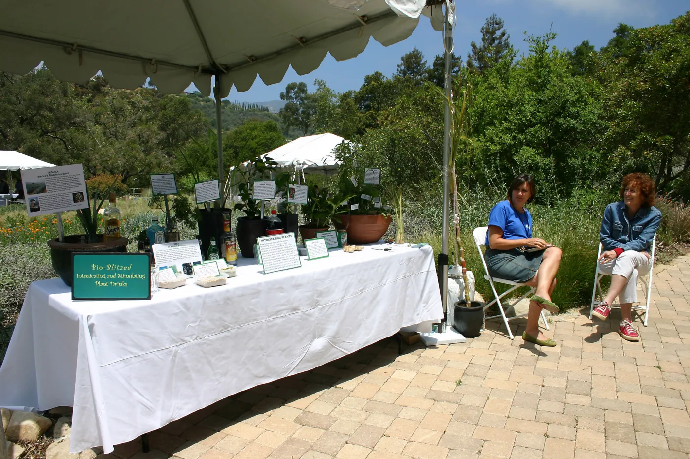 BioBlitzed, Intoxicating and Stimulating Plant Drinks Station