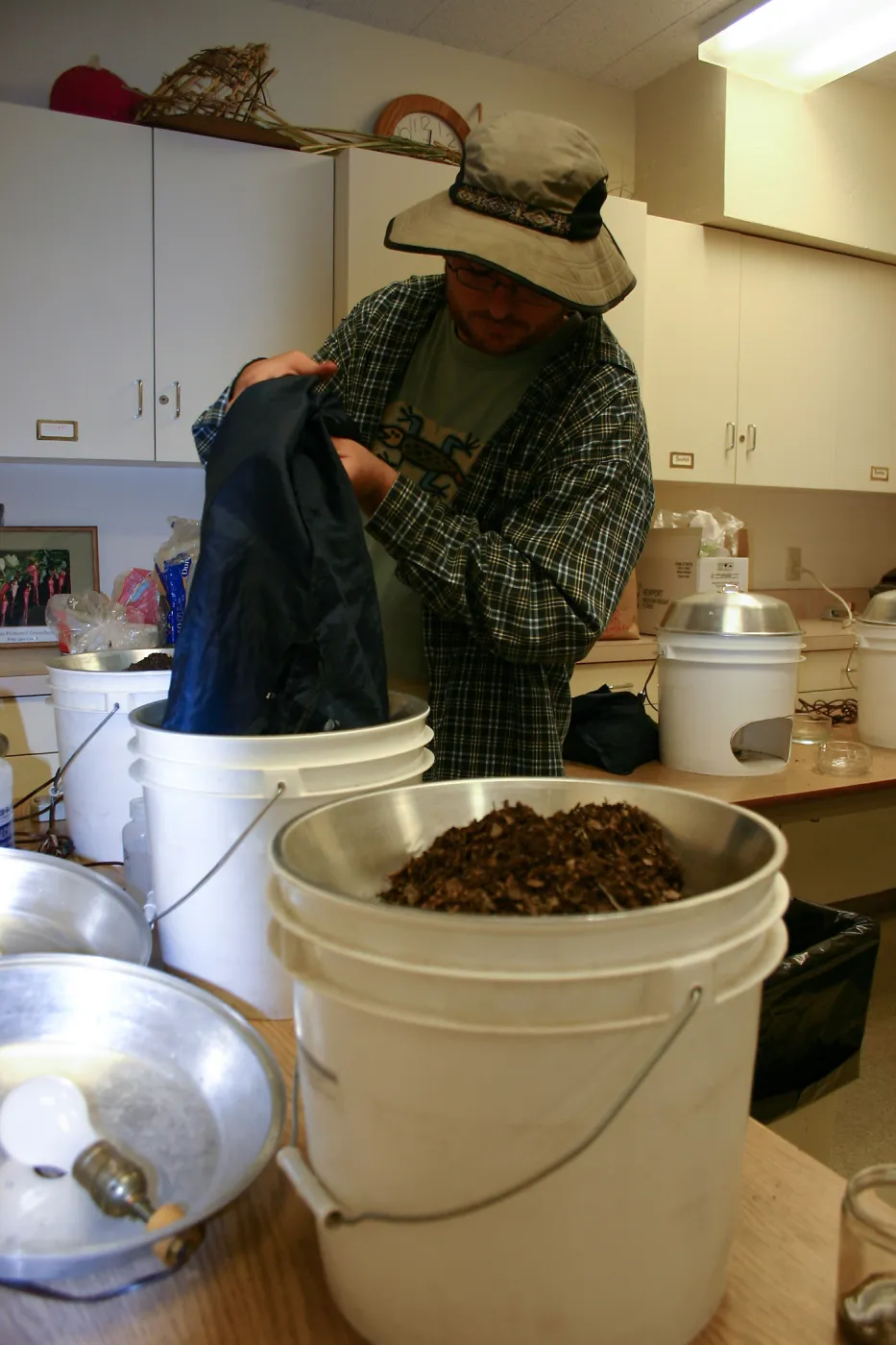 BioBlitz, sifting samples