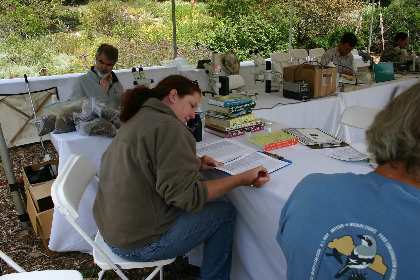 BioBlitz,Scientists Station