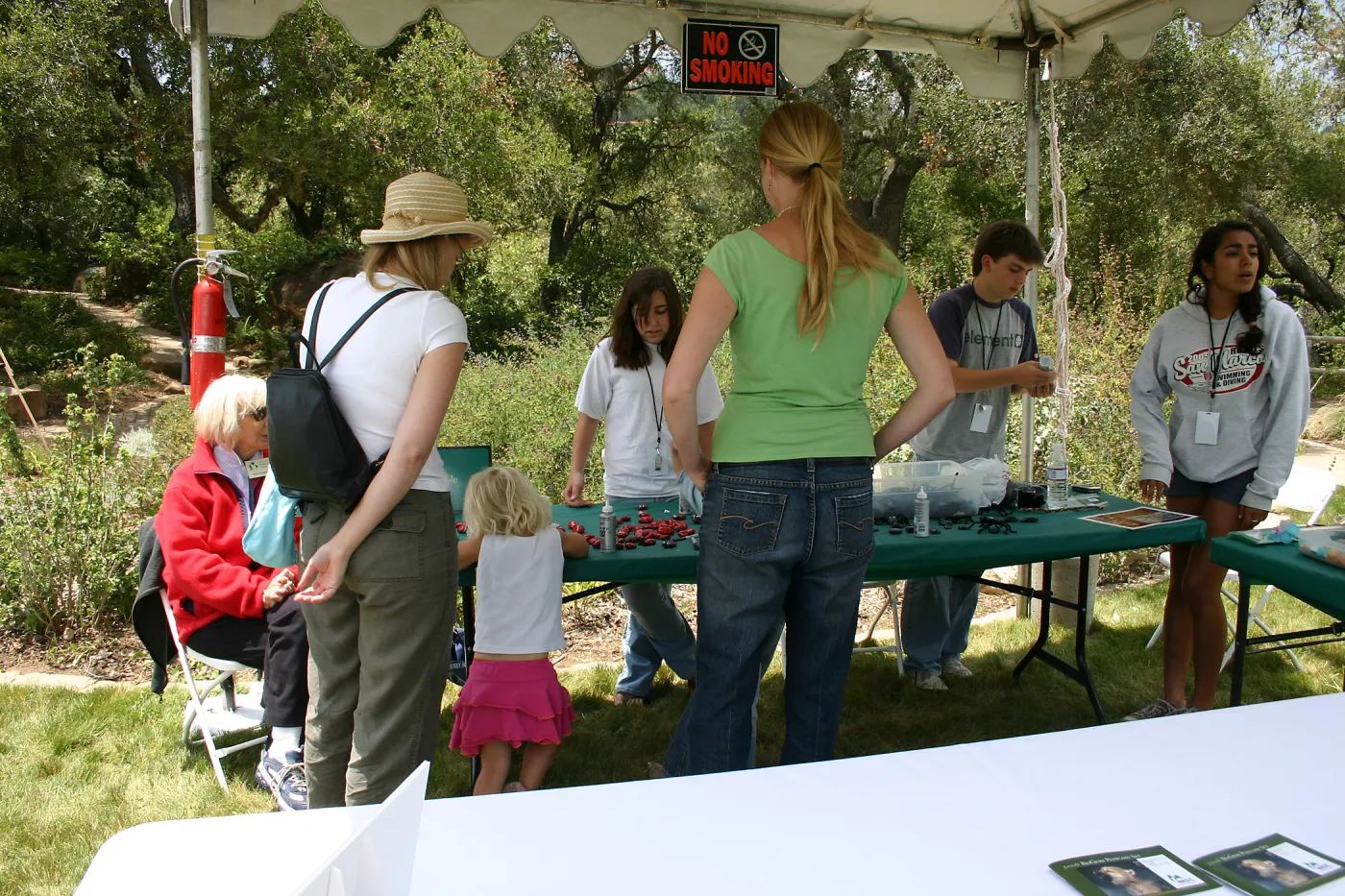 BioBlitz, Craft Table