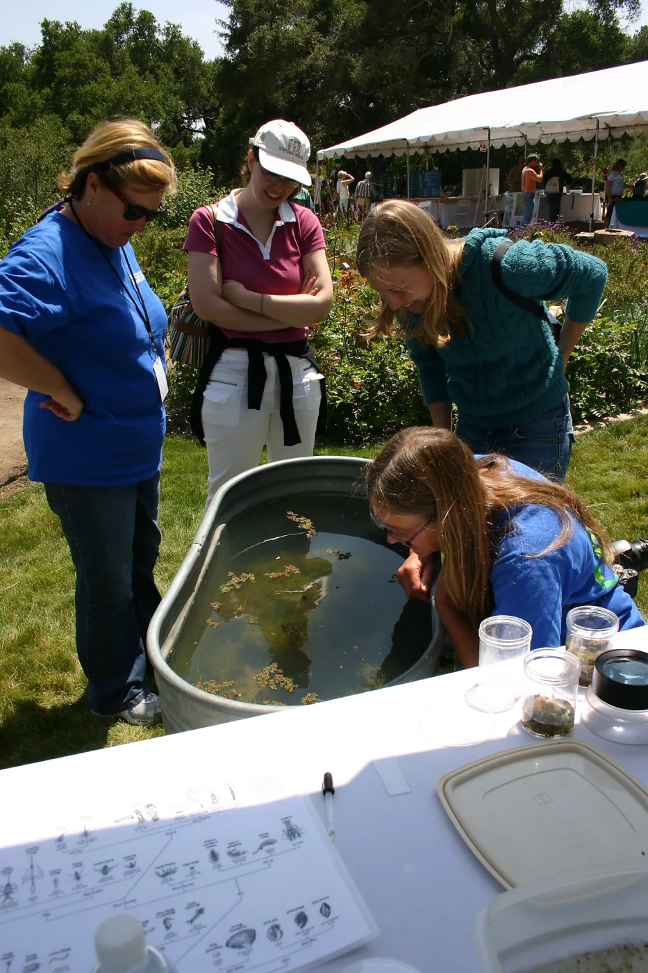 BioBlitz, aquatic life display