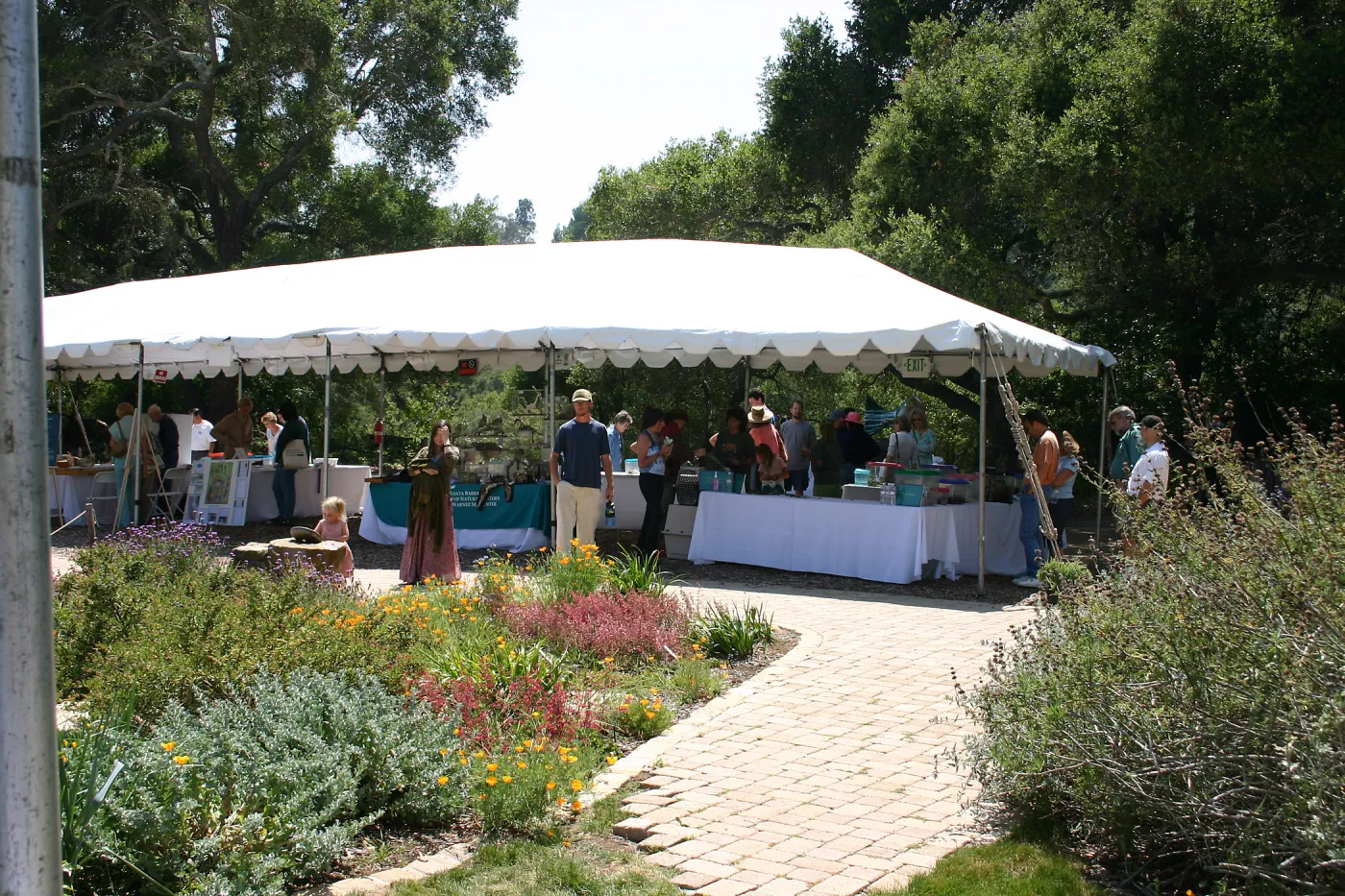BioBlitz, Stations