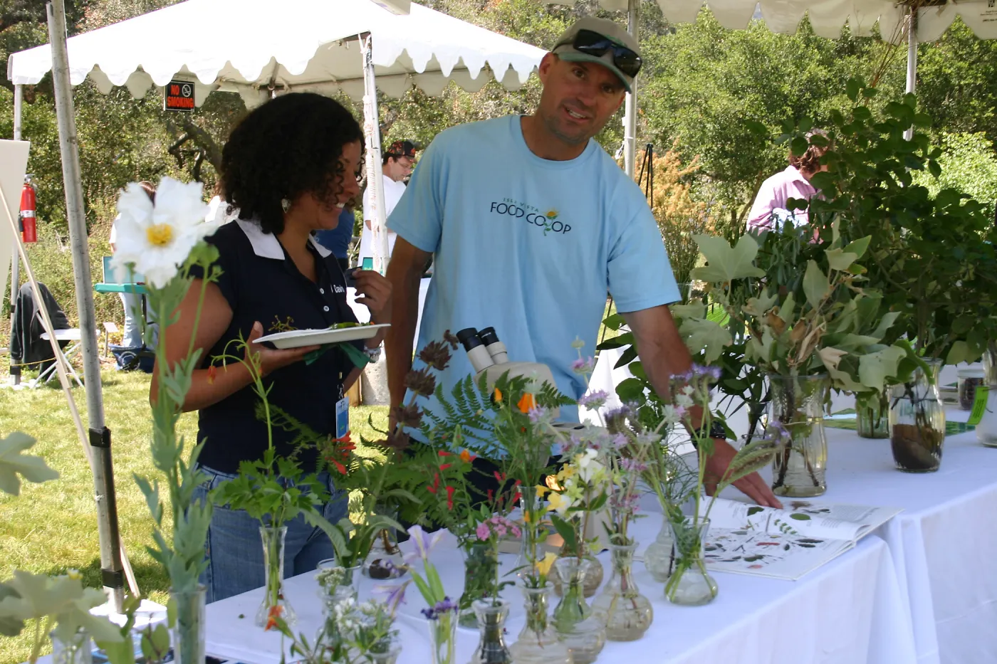 BioBlitz, wildflower display