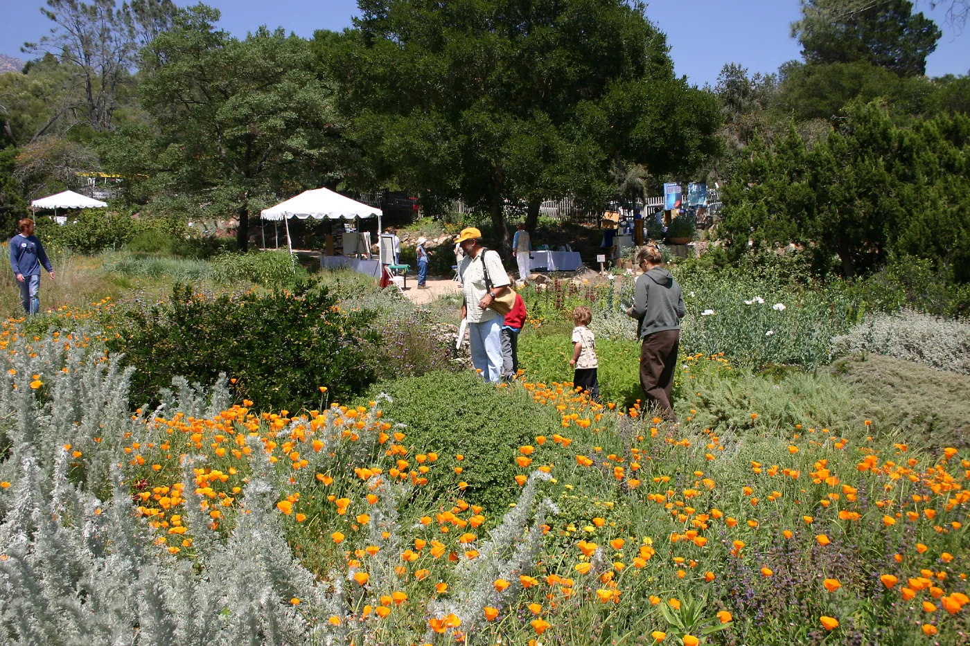 BioBlitz, Visitors