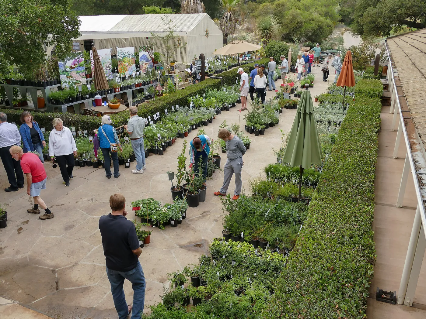 Fall Plant Sale 2018 Preview Party