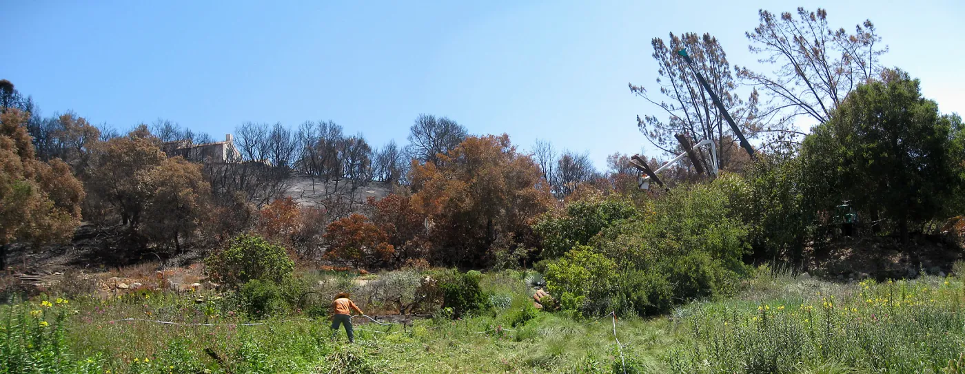 Construction of Herb Parker's â€˜Haven' labyrinth, clearing site in Meadow, removal of leaning grey pine