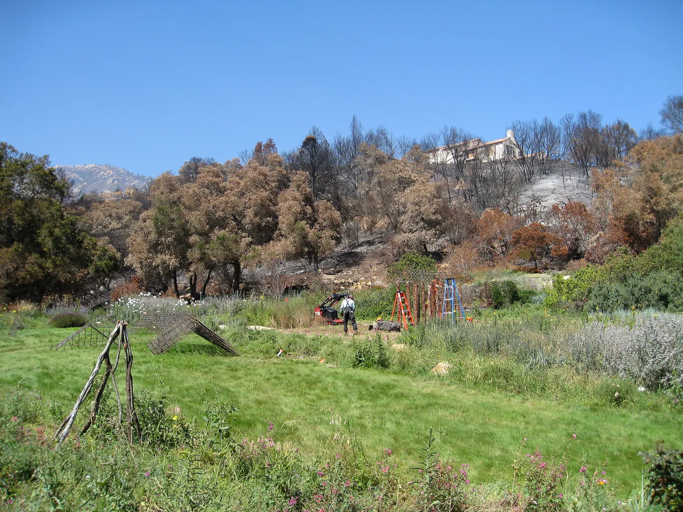 Construction of Herb Parker's â€˜Haven' labyrinth