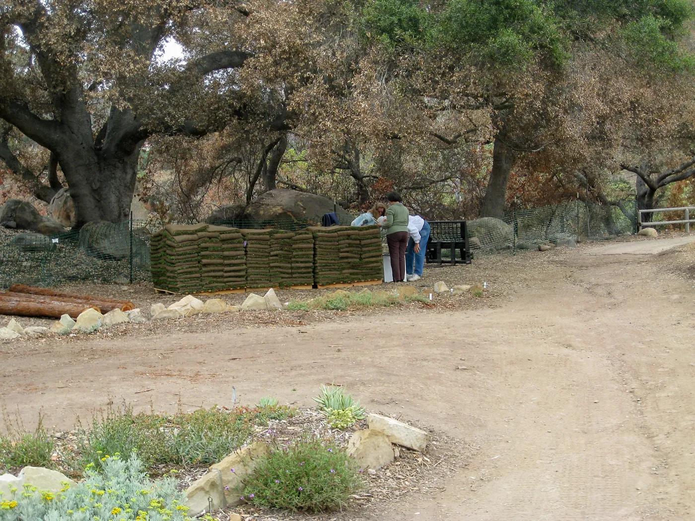 Construction of Herb Parker's â€˜Haven' labyrinth, sod for roof