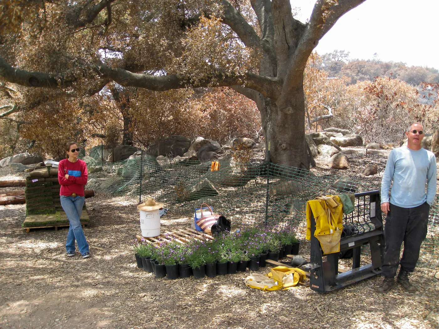Construction of Herb Parker's â€˜Haven' labyrinth, native plants for roof arrive
