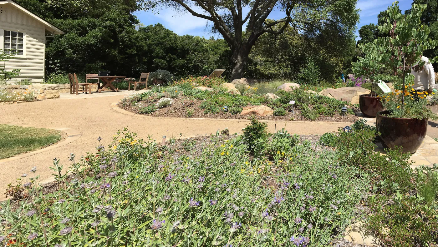 Water Wise Home Garden