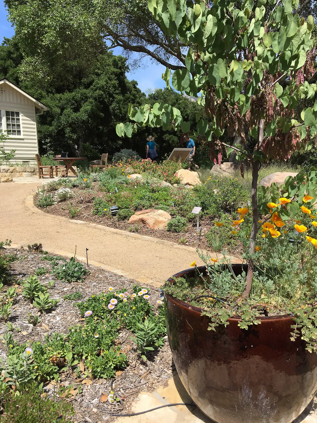 Water Wise Home Garden