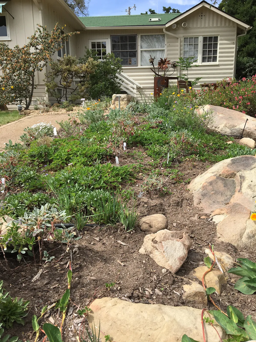 Water Wise Home Garden