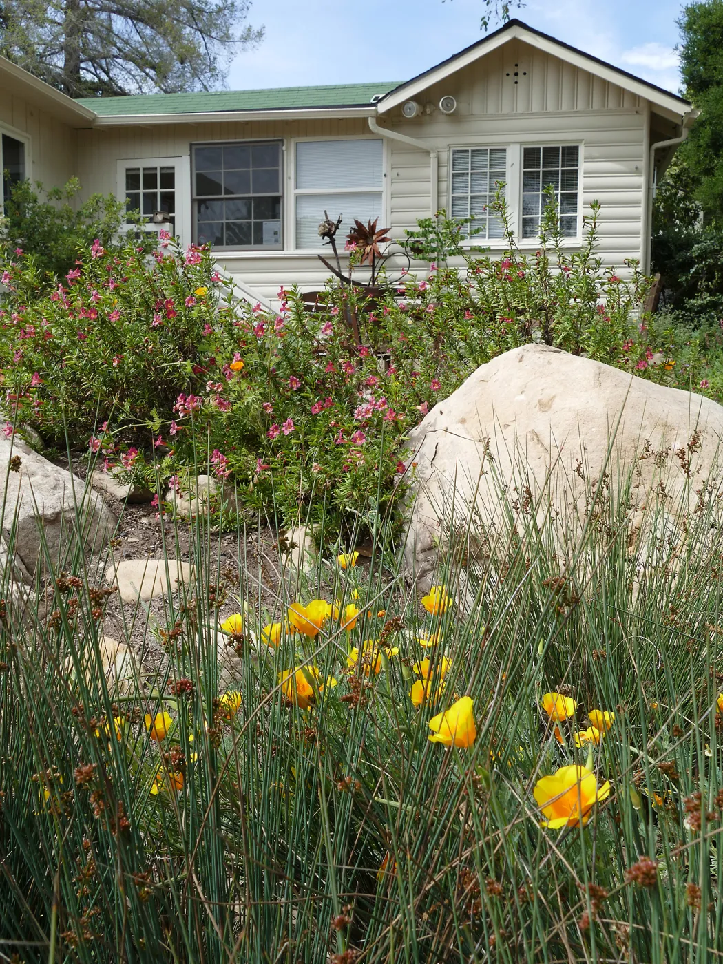Water Wise Home Garden