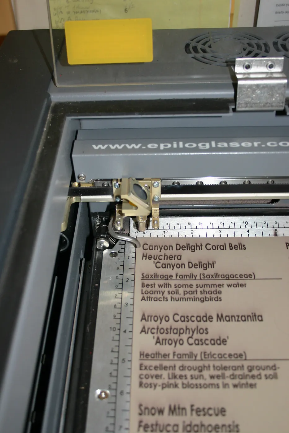 New laser engraver at Horticulture Unit