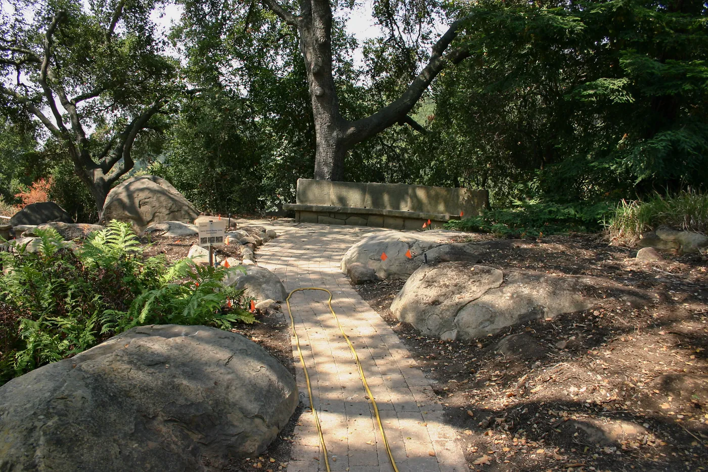 Native California Orchid Display Construction