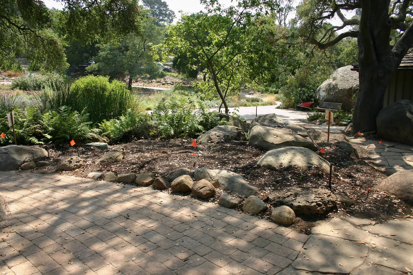 Native California Orchid Display Construction