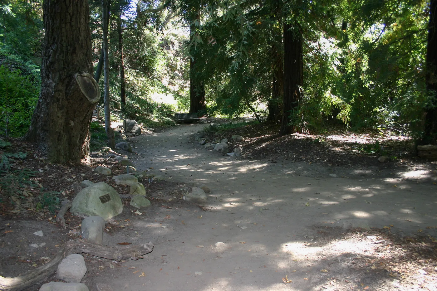 Redwood Section