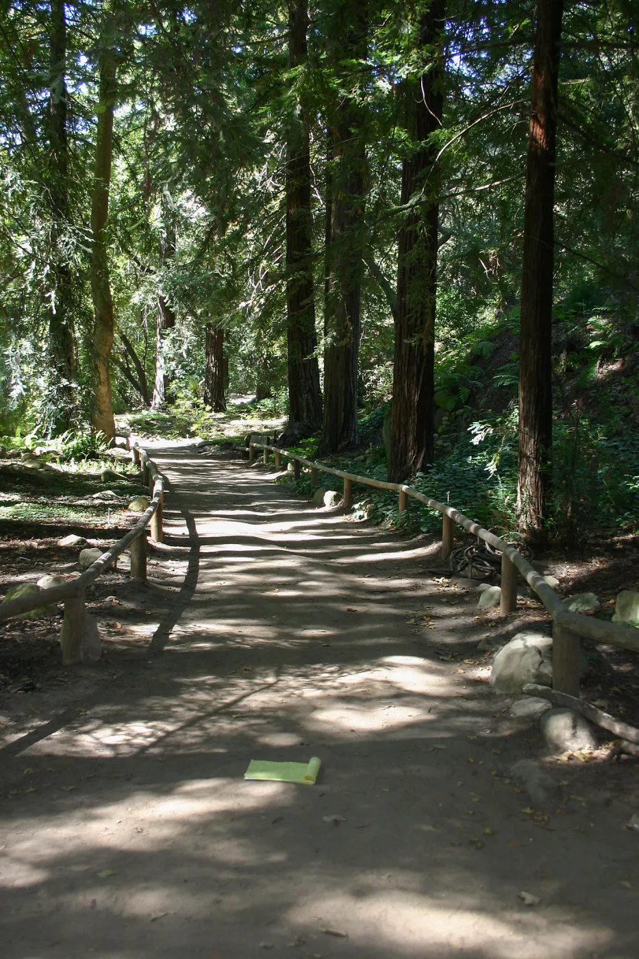 Redwood Section