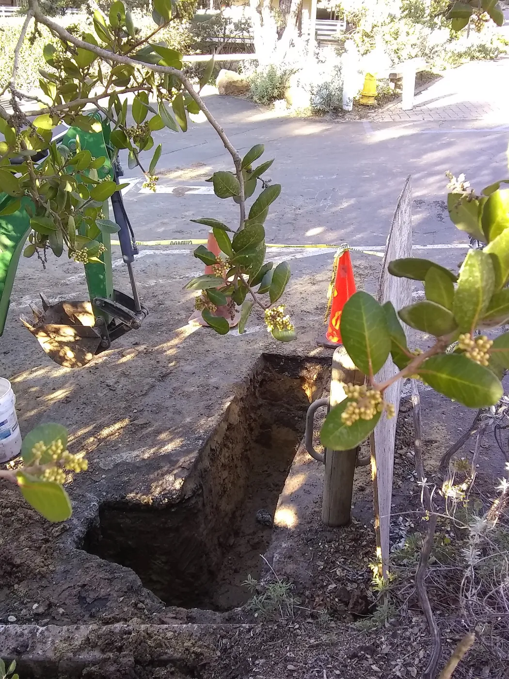 Irrigation water line repair in main parking lot, just south of the bike rack, looking west