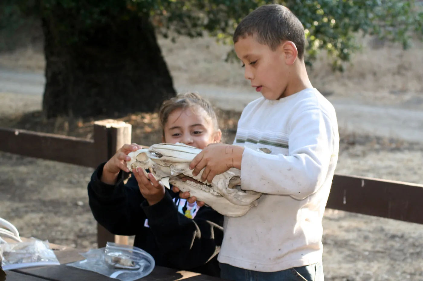 FamCamp 2006