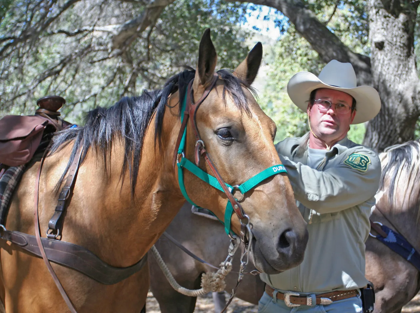 FamCamp 2008, Horse & rider