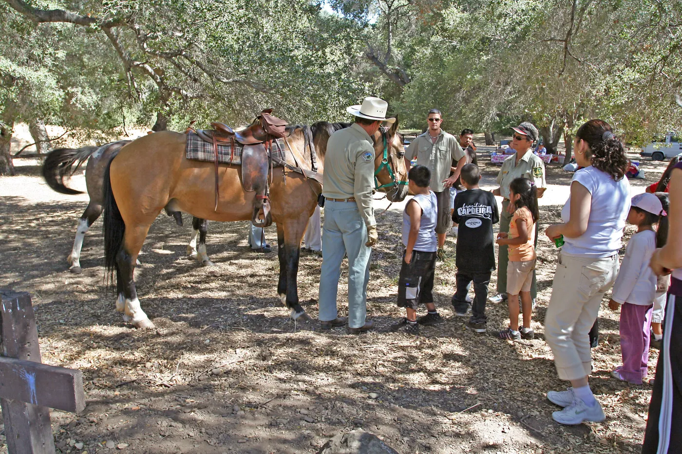 FamCamp 2008, Horses
