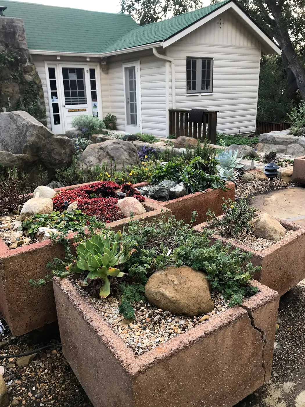 Container Gardens at Waterwise Home Garden