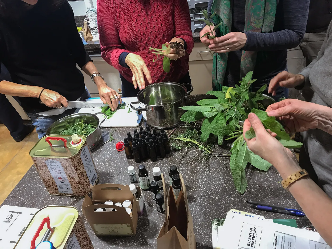Emily Sanders Winter Wellness Medicine Making Workshop