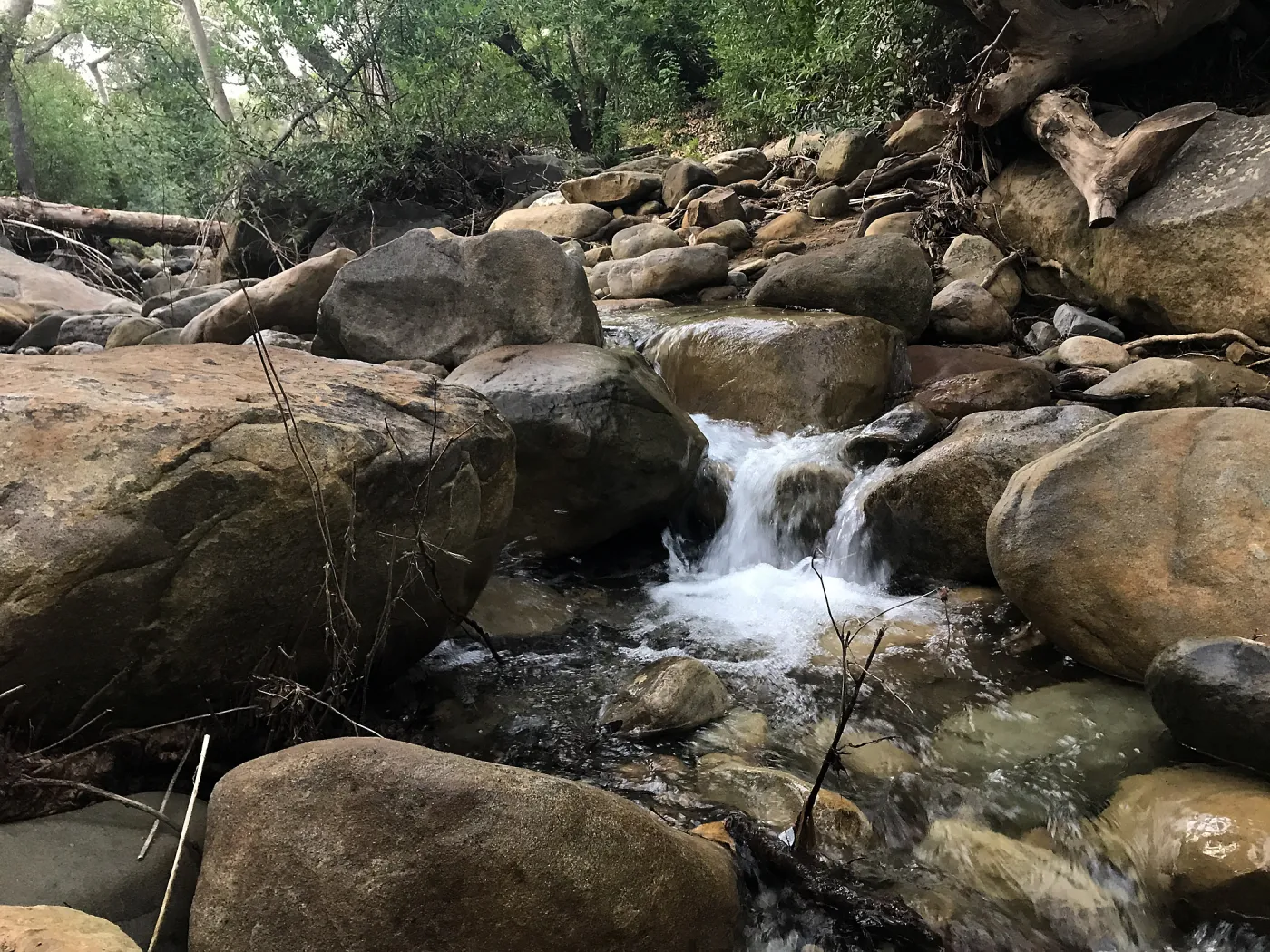 Mission Creek