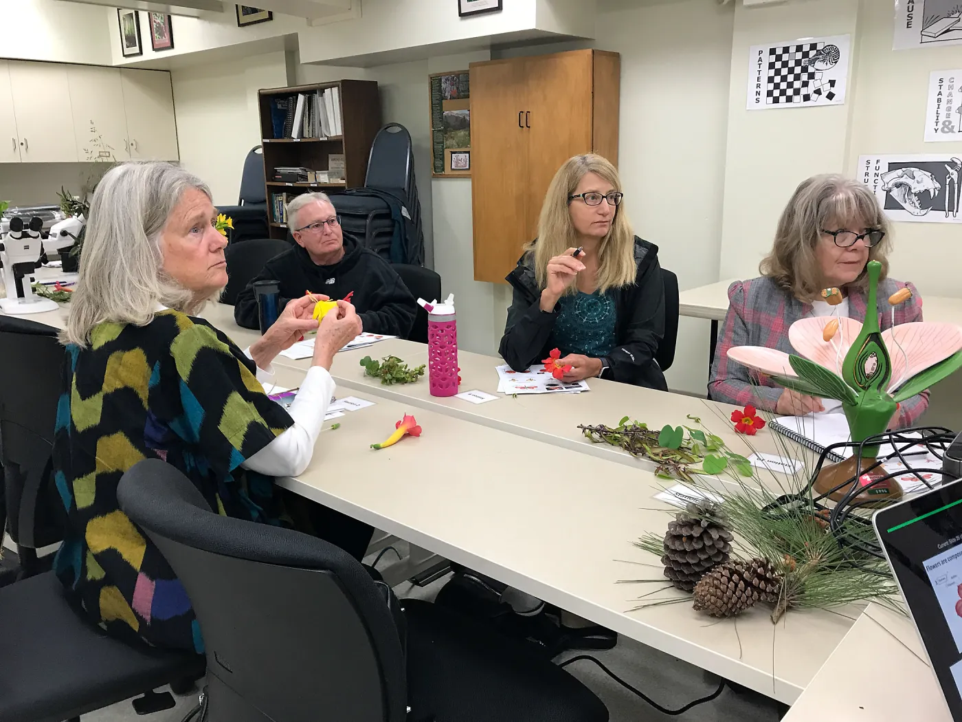 Botany Basics: Reproductive Structures class taught by Natalie Love