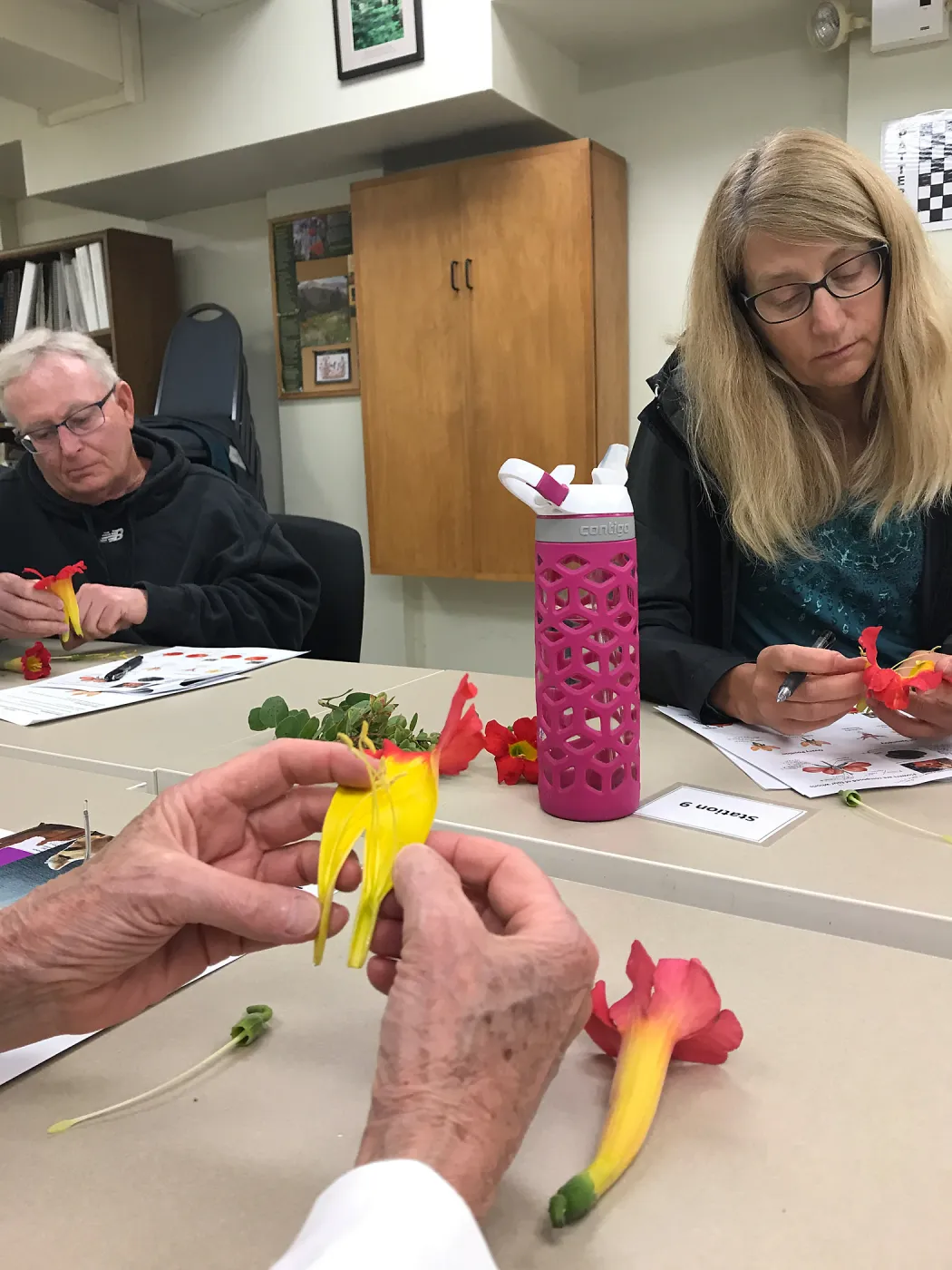 Botany Basics: Reproductive Structures class taught by Natalie Love