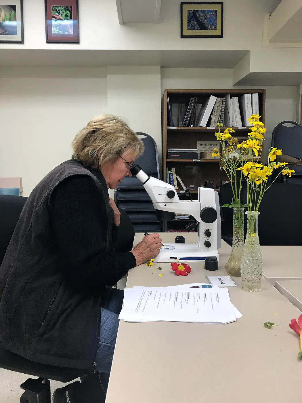Botany Basics: Reproductive Structures class taught by Natalie Love
