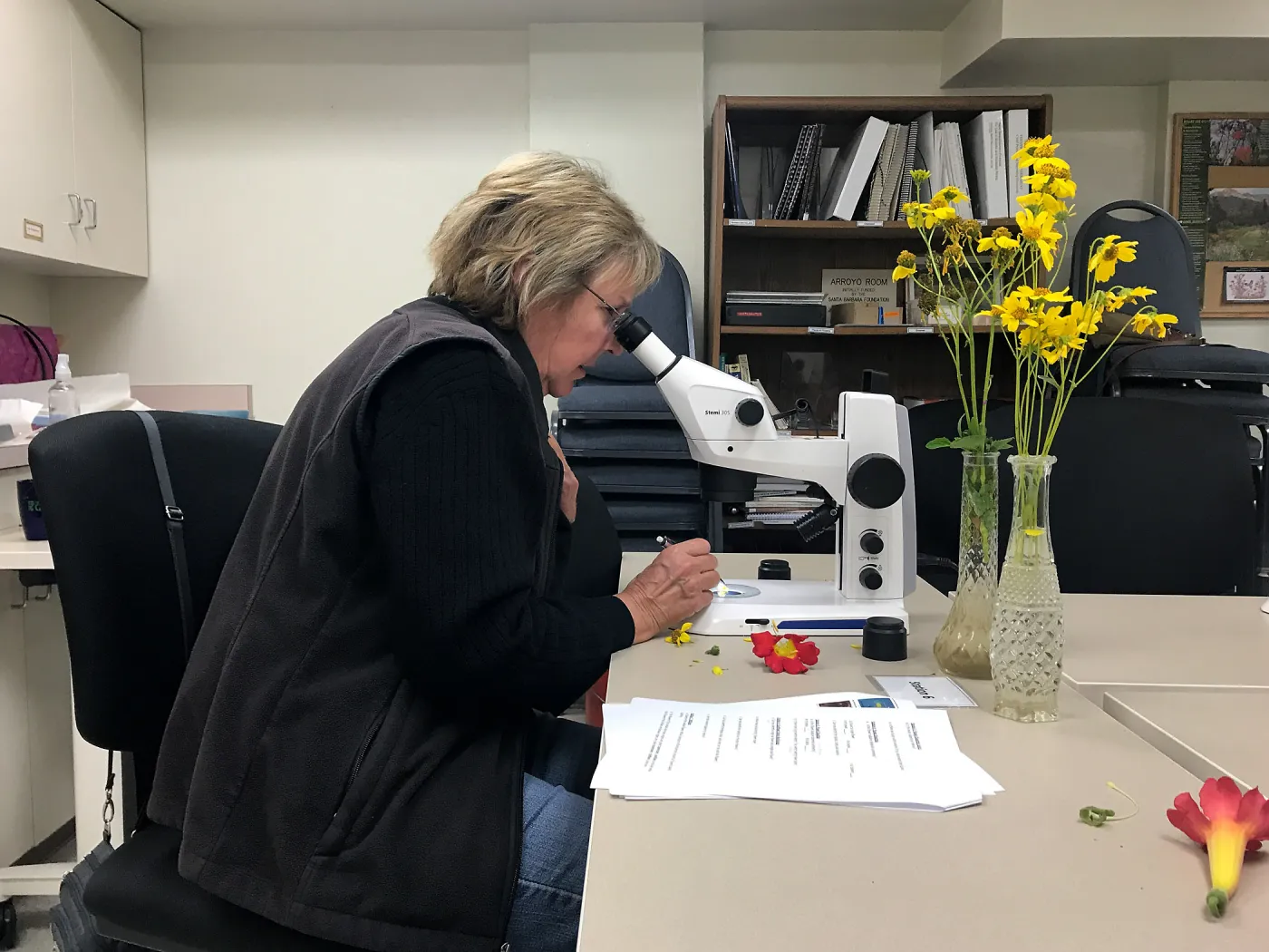Botany Basics: Reproductive Structures class taught by Natalie Love