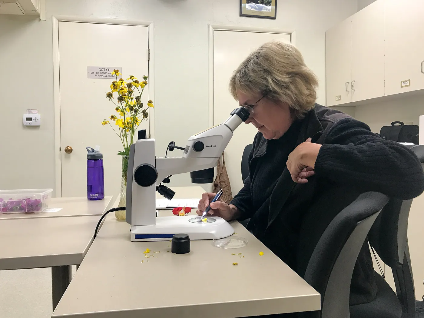 Botany Basics: Reproductive Structures class taught by Natalie Love