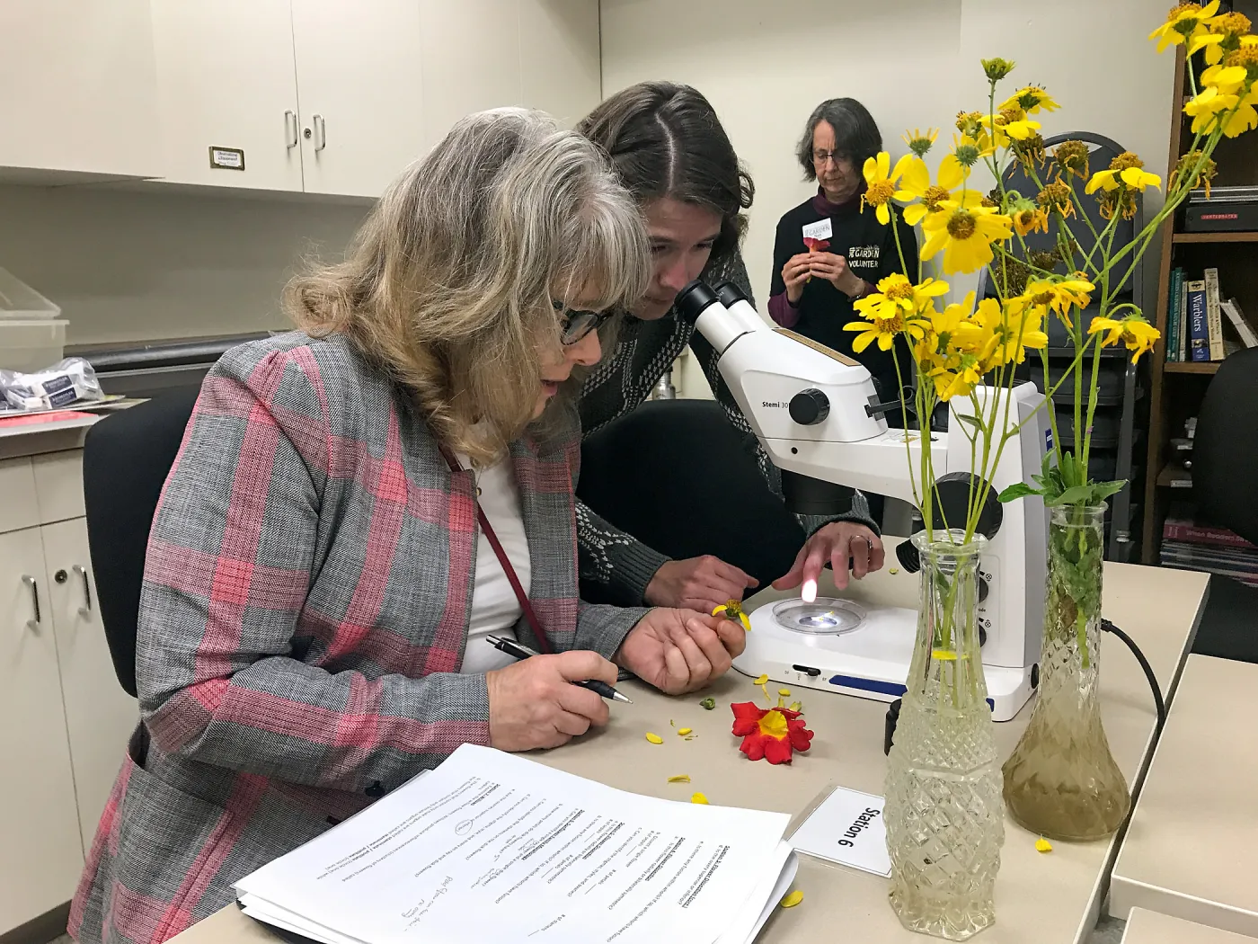Botany Basics: Reproductive Structures class taught by Natalie Love
