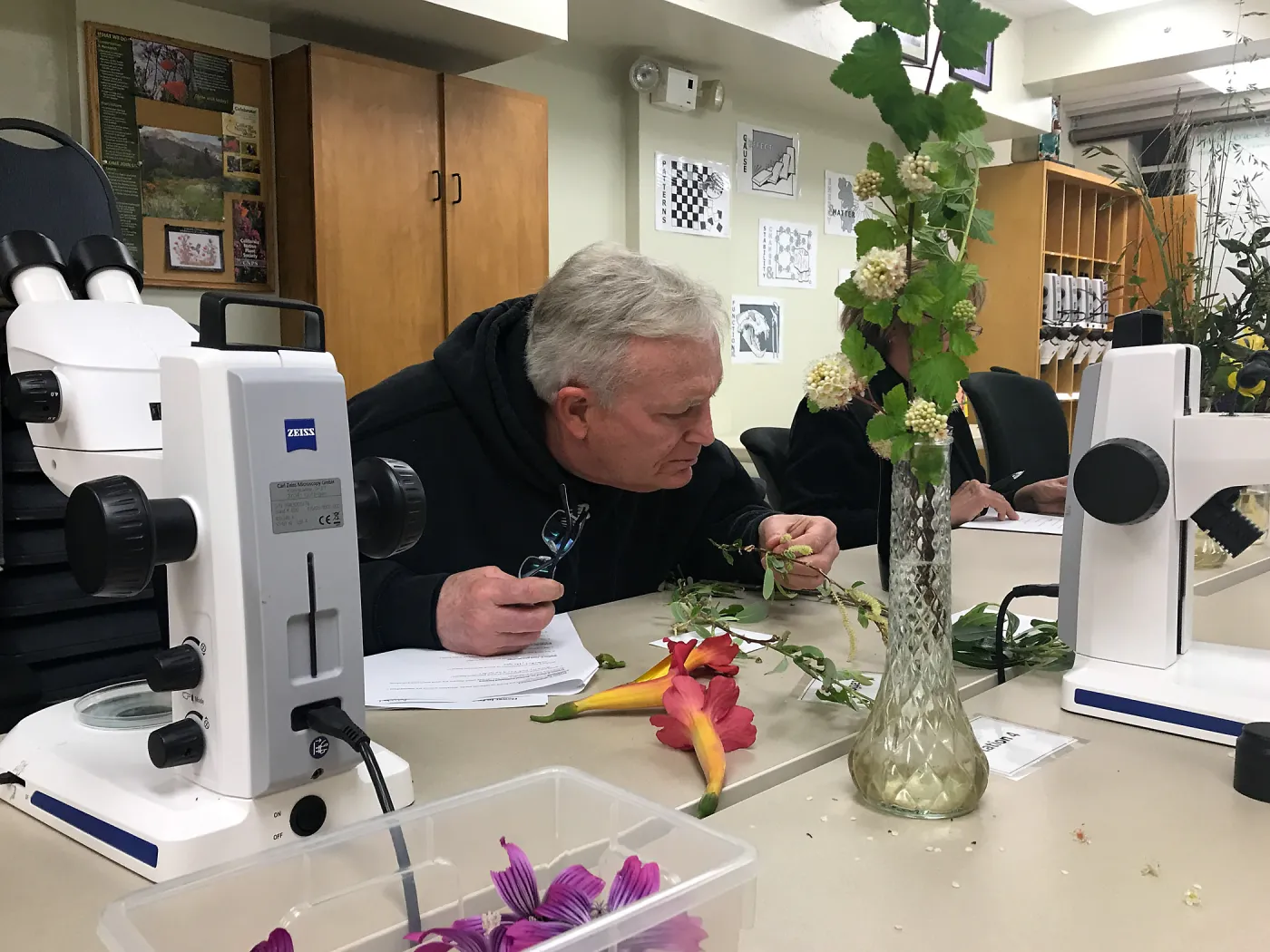 Botany Basics: Reproductive Structures class taught by Natalie Love