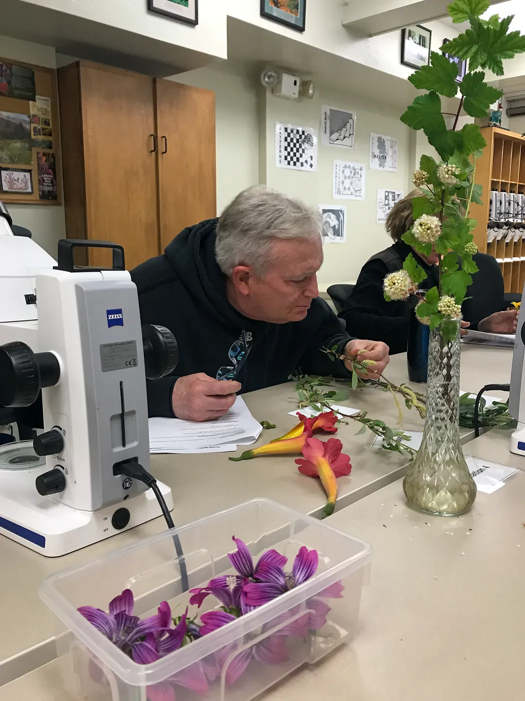 Botany Basics: Reproductive Structures class taught by Natalie Love