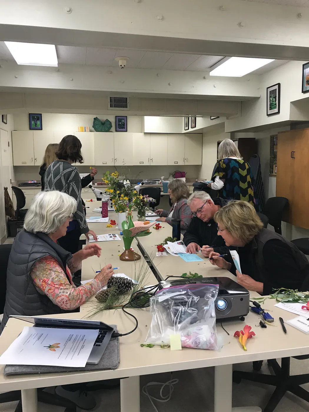 Botany Basics: Reproductive Structures class taught by Natalie Love