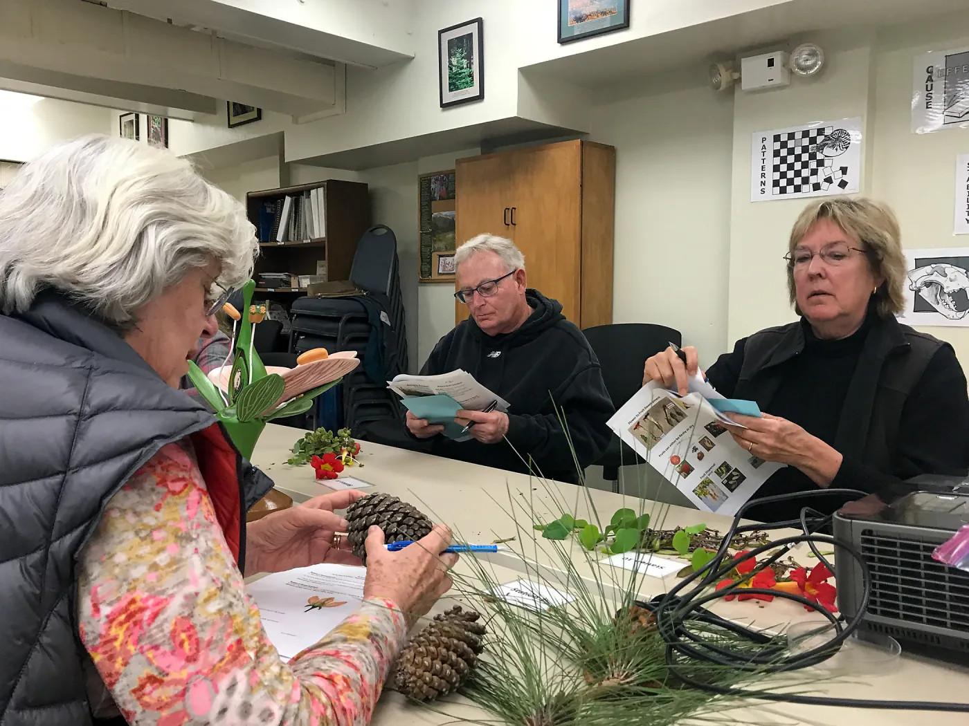 Botany Basics: Reproductive Structures class taught by Natalie Love