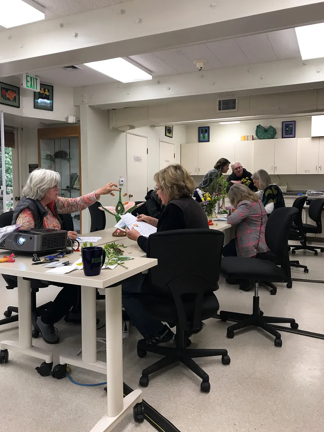 Botany Basics: Reproductive Structures class taught by Natalie Love