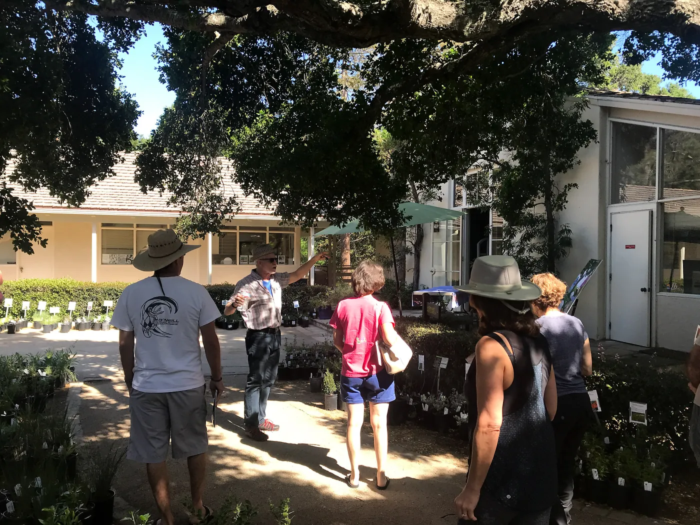 Designing with Water Wise Natives class taught by Billy Goodnick