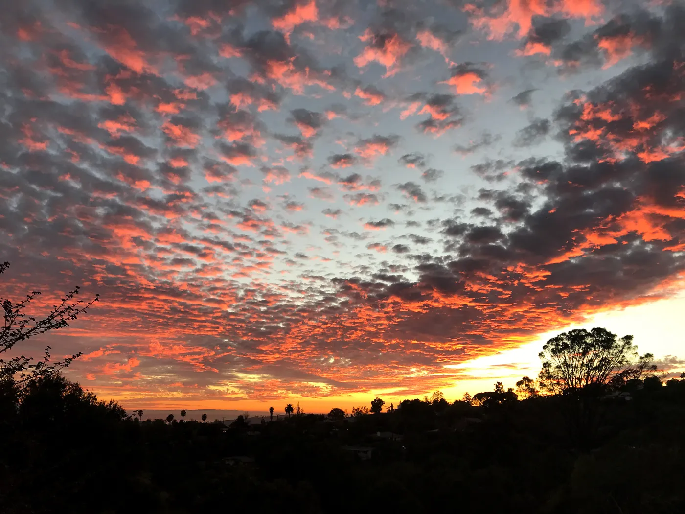 Sunset over the Garden