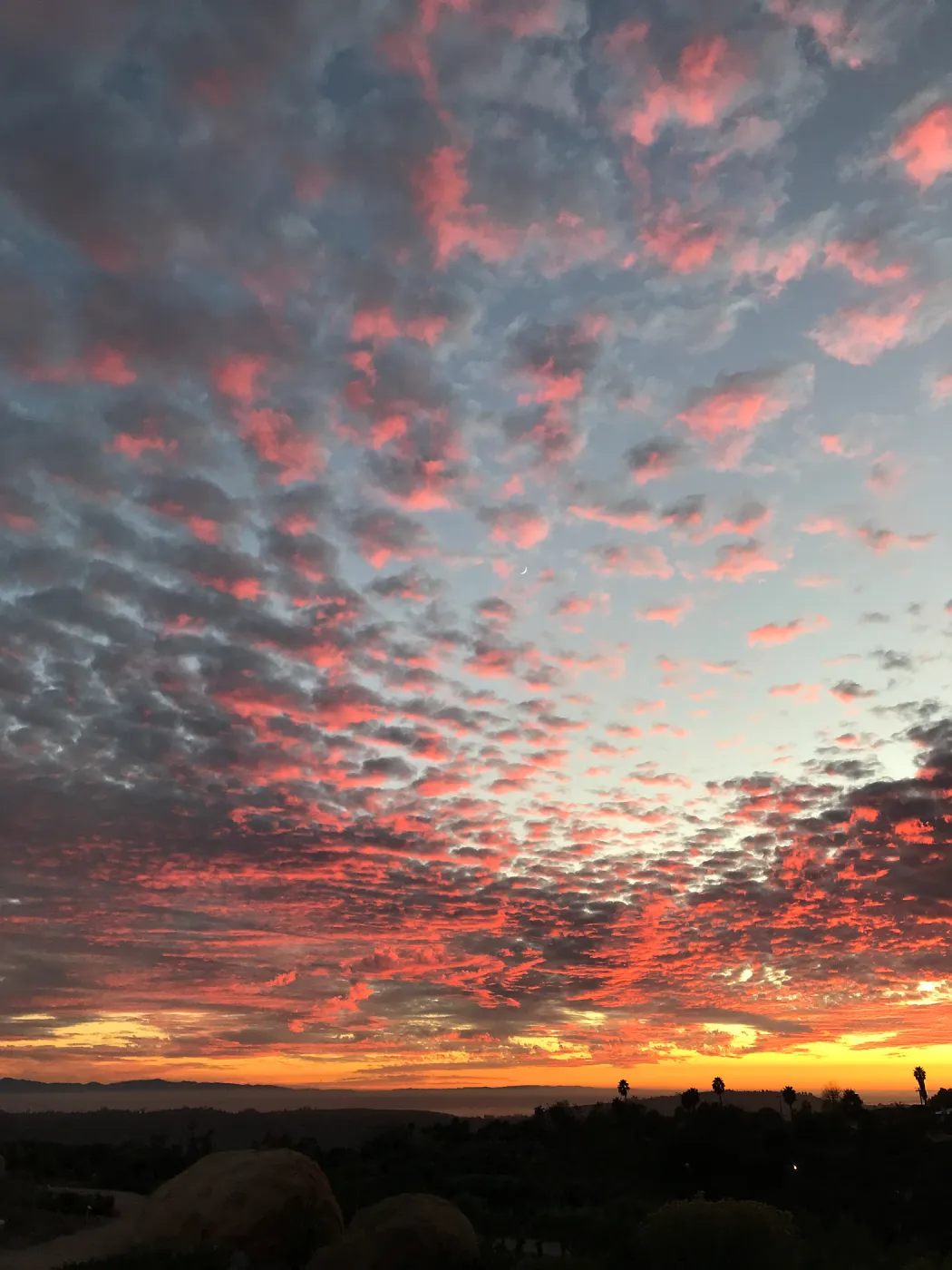 Sunset over the Garden