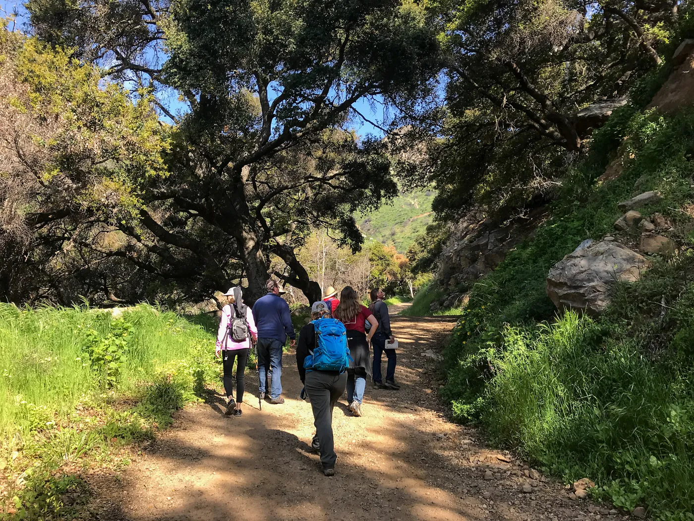 Romero Canyon day trip with Natalie Love