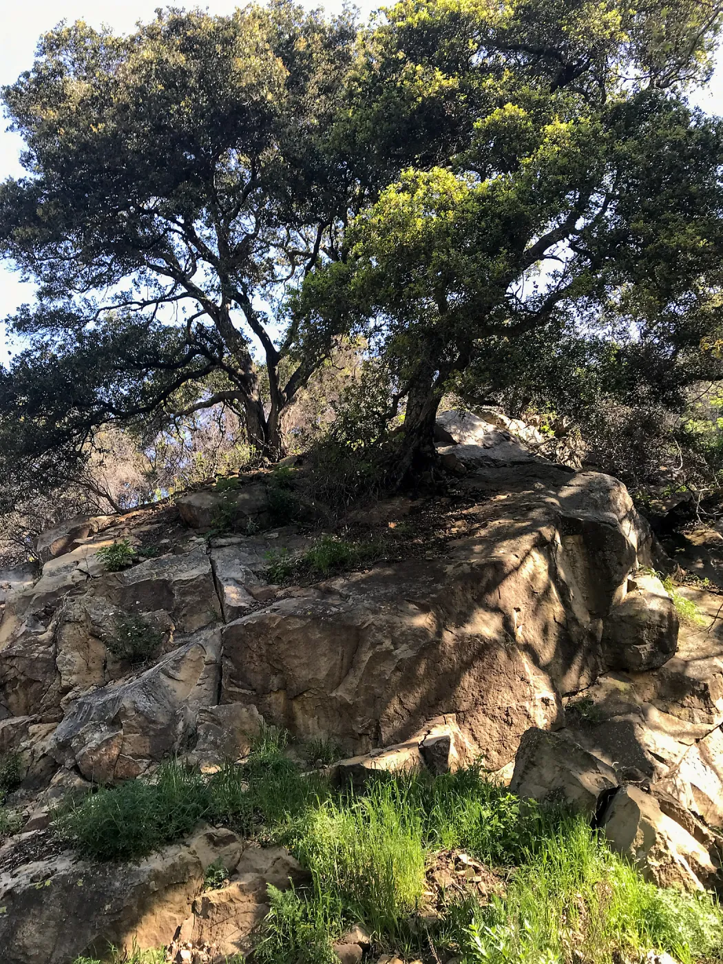 Romero Canyon day trip with Natalie Love