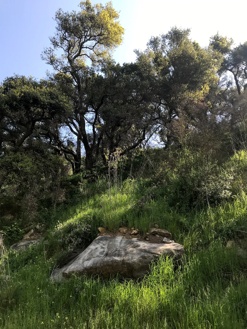 Romero Canyon day trip with Natalie Love