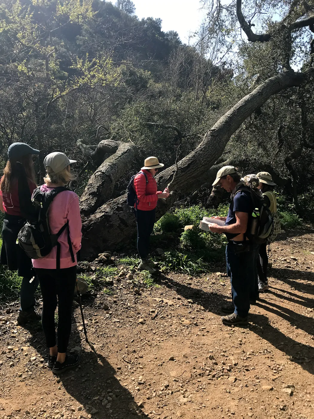 Romero Canyon day trip with Natalie Love