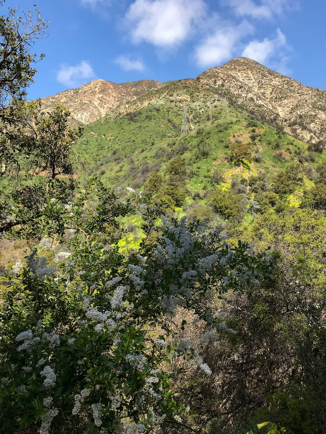 Romero Canyon day trip with Natalie Love
