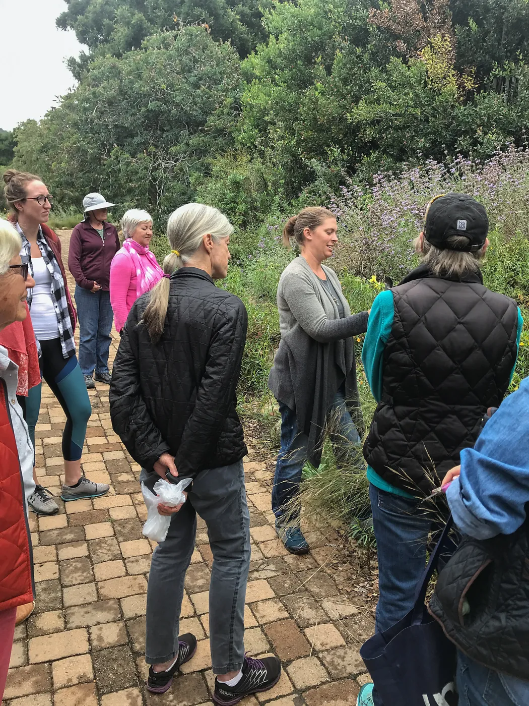 Bring the Wild Inside; Floral Design With California Native Plants