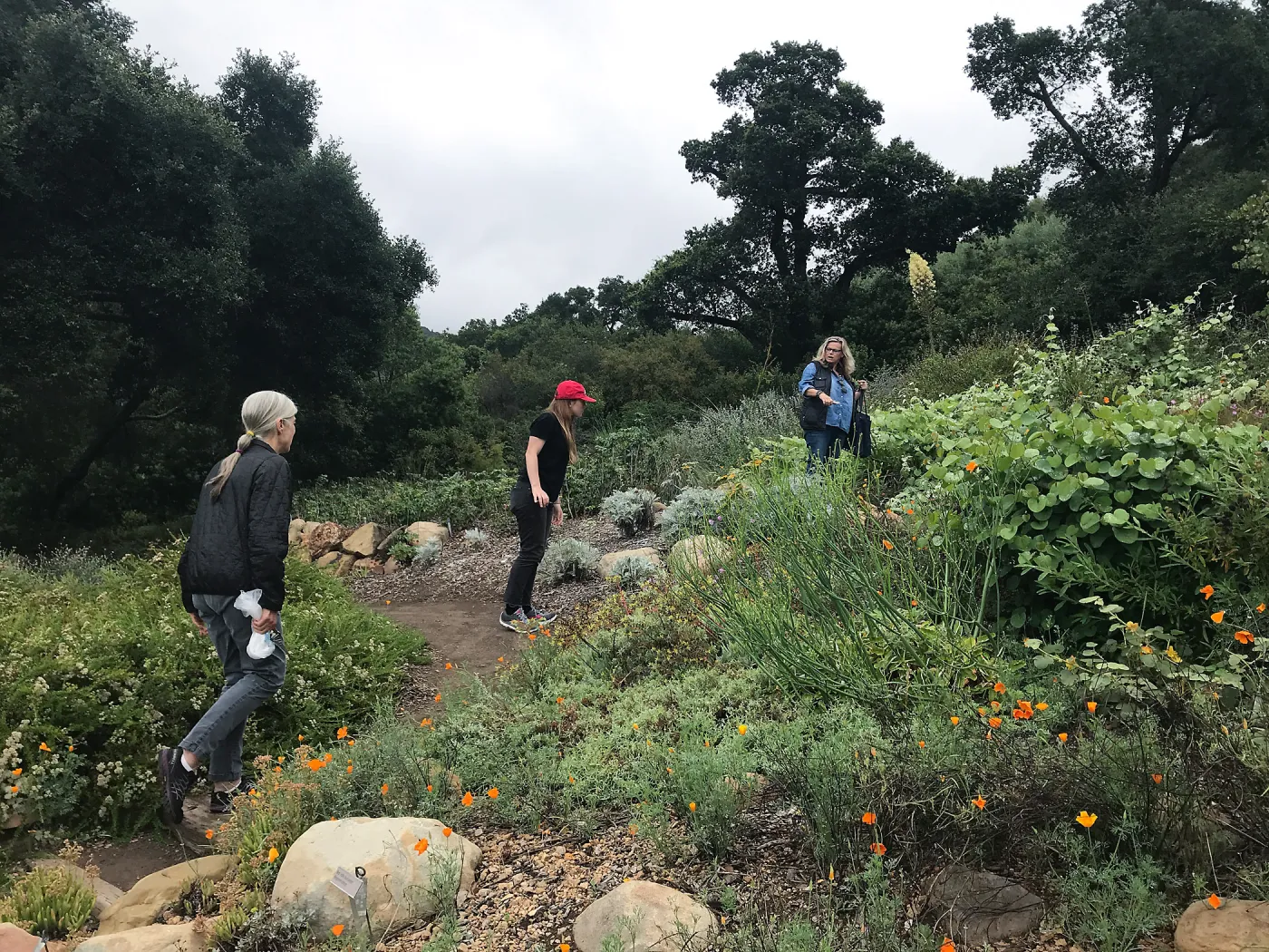 Bring the Wild Inside; Floral Design With California Native Plants